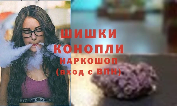 ГАЛЛЮЦИНОГЕННЫЕ ГРИБЫ Горно-Алтайск