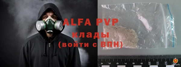 apvp Горняк