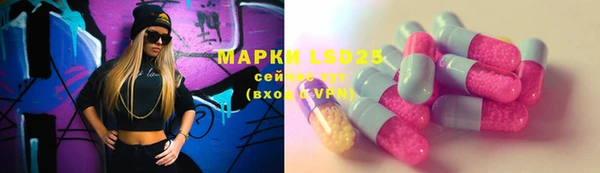 apvp Горняк