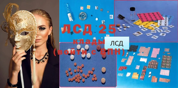 apvp Горняк