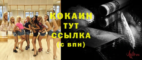 apvp Горняк
